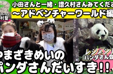 やまざきめいのパンダさんだいすき!! 小田さんと一緒・譜久村さんみてください～アドベンチャーワールド編～