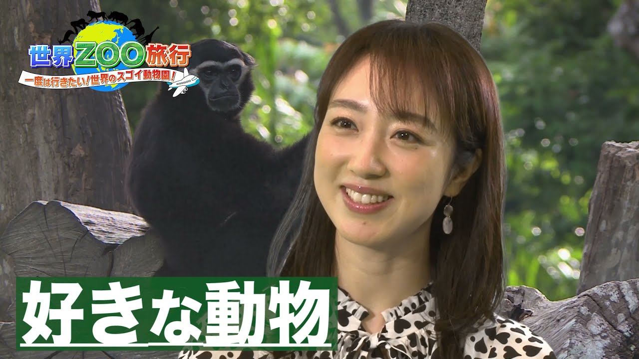 川田裕美「ボス猿を探すのが楽しい!」【世界ZOO旅行】 川田裕美「ボス猿を探すのが楽しい!」【世界ZOO旅行】