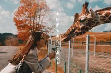 Cinematic Edition】#54 新木優子のjalan jalan（街ぶら）in 山口