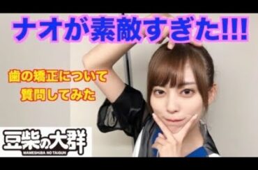 豆柴の大群「ナオ」が素敵すぎる！