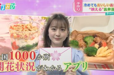 【ひるおび】お花見に役立つ！冷めてもおいしいお弁当、映えるお弁当を若林アナが手作り♡全国1000か所の桜の開花状況がわかるアプリを紹介。