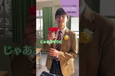 【#ひとひらの初恋】新学期を迎えるあなたにこの花を│テレビ東京公式ドラマチャンネルで配信中│#草川拓弥 #超特急 #石井杏奈 #竹財輝之助 #Shorts