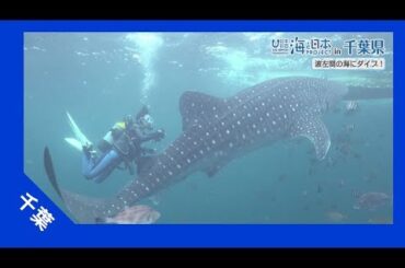 2017年 #14 波左間の海にダイビング | 海と日本PROJECT in 千葉県