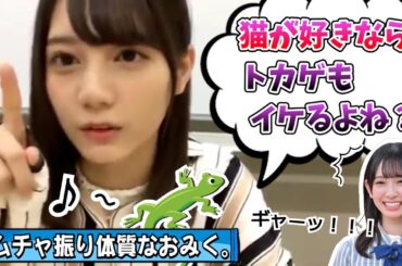 【こさかな】おみくを爬虫類カフェに連れていくのが目標です【小坂菜緒・日向坂46】
