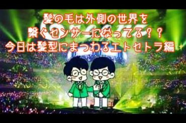 #193  髪の毛は外側の世界を繋ぐセンサーになってる？？今日は髪型にまつわるエトセトラ！