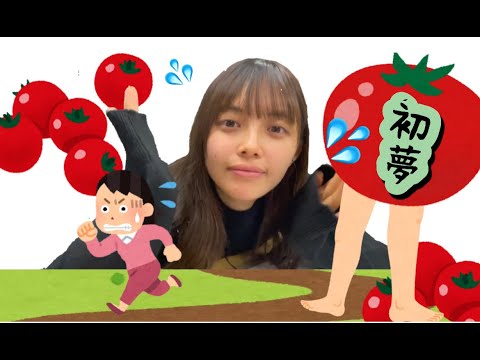 初夢の話? もりひな日記19巻 【森日菜美】 初夢の話? もりひな日記19巻 【森日菜美】