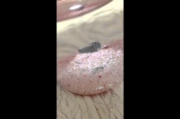 大森美優ちゃん　エビを飼い始める