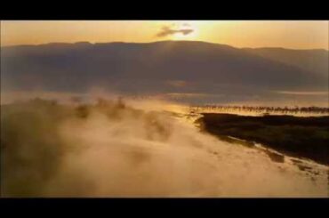 『ネイチャー』TVスポット30秒滝川クリステル編