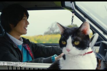 猫の声は高畑充希！福士蒼汰主演『旅猫リポート』特報
