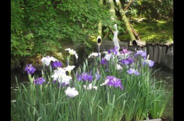 青木裕子が第2子妊娠を発表　矢部浩之が2児のパパに