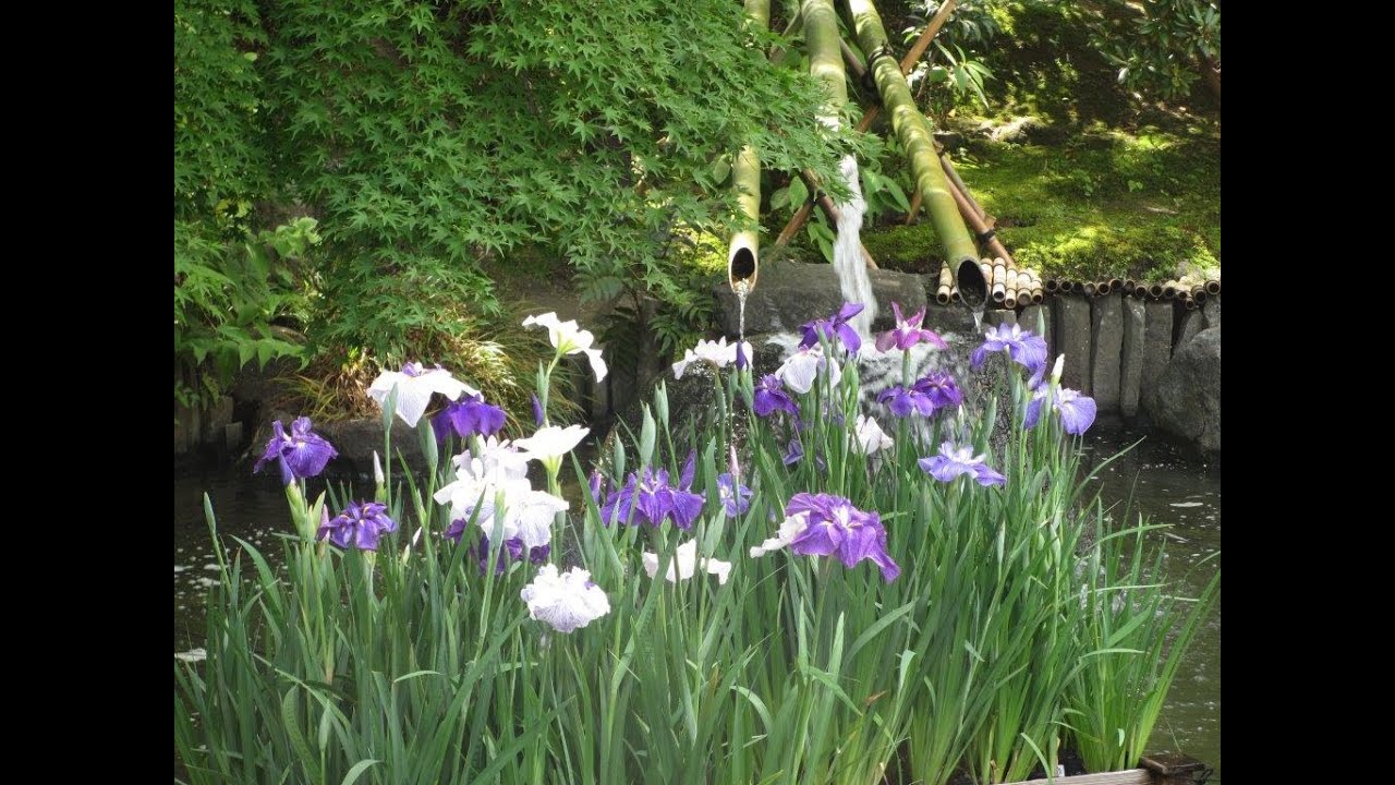 青木裕子が第2子妊娠を発表 矢部浩之が2児のパパに 青木裕子が第2子妊娠を発表 矢部浩之が2児のパパに