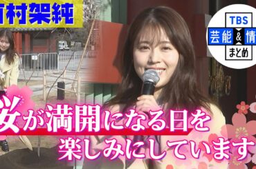 【有村架純】“桜が満開になる日を楽しみにしています” ＜浅草寺に桜の記念植樹＞