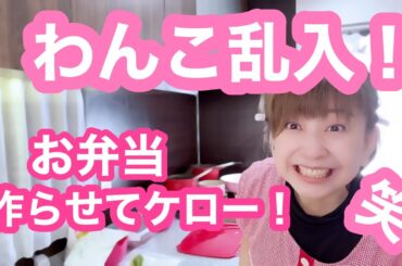 【お弁当No.340】天ぷら蕎麦＆野菜サラダ