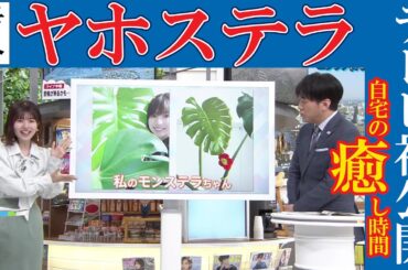 TV初公開のヤホステラを紹介する松田好花ちゃん