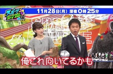 【公式】「スポーツジャングル」宮司愛海アナの今回の見どころ