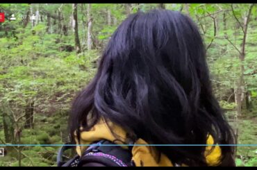 【映画DB】映画「樹海村　じゅかいむら」予告編（出演：山田杏奈 、山口まゆ、神尾楓珠）