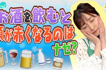 お酒を飲むと顔が赤くなるのはナゼ？／とれたてリサーチ