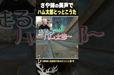 さや姉がハム太郎の歌を歌うと…【ヘンディー/山本彩/小森めと】