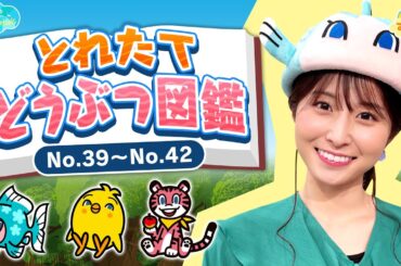 とれたてどうぶつ図鑑／とれたてFISHING