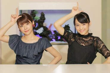 アンジュルム新メンバー、こぶし、カントリー歴史、ハロコン舞台裏、矢島ヘアアレンジ MC：金澤朋子・野村みな美【ハロ！ステ#178】