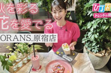 【ひるおび】“やさしい”気持ちに包まれる・・・フラワーショップ＆カフェで癒しのひと時