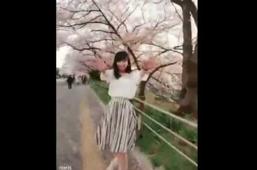 あおにゃんとお花見デート風動画【空野青空】