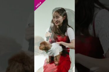 ももクロ百田夏菜子、愛犬ピーチにデレデレ