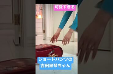 こんな可愛い小学生はいない吉田里琴ちゃん