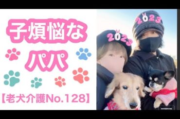 リーマンパパ🐶こども達をお散歩へ🐶【老犬介護No.128】
