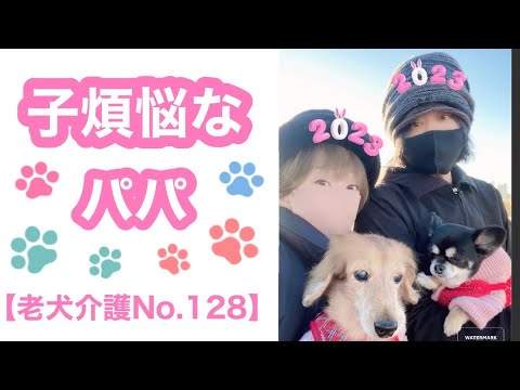 リーマンパパ🐶こども達をお散歩へ🐶【老犬介護No.128】 リーマンパパ🐶こども達をお散歩へ🐶【老犬介護No.128】