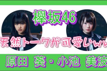 【欅坂46】メンバー 原田 葵・小池 美波　の天然トークが可愛い～