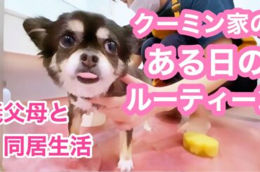 プチ大家族家族はいいねぇ〜🐶🐶毎日が刺激的で🥸🥰😎😘【義父母と同居No.010】