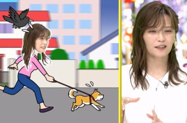 宇野実彩子 (37)｜エピソード・逸話｜昔、実家の柴犬”ラッキー”と散歩中に衝撃の体験｜ナゼそこ？20230406｜TALK SHOW 2023 PR