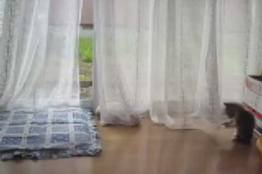 タラちゃんとエレーヌ