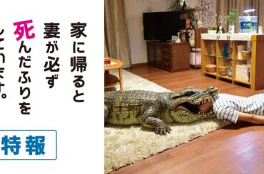 【特報】『家に帰ると妻が必ず死んだふりをしています。』