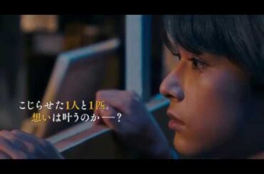 『猫は抱くもの』特報！【沢尻エリカが元アイドル、吉沢亮が猫に】