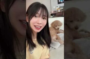 【キャメオ】でんぱ組.inc「古川未鈴」さんからの特別なメッセージ #shorts