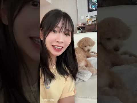 【キャメオ】でんぱ組.inc「古川未鈴」さんからの特別なメッセージ #shorts 【キャメオ】でんぱ組.inc「古川未鈴」さんからの特別なメッセージ #shorts