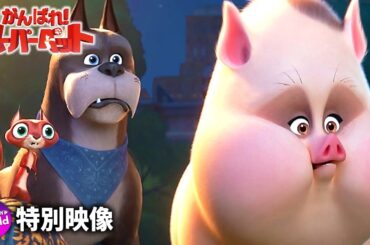 松岡茉優が“スーパーペット”のブタさんに！『DC　がんばれ！スーパーペット』特報映像