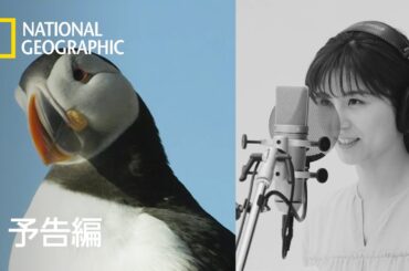 世界大自然紀行：スカンジナビア半島 (声：宇賀なつみ) - 予告編 (四季編) | ナショジオ