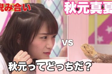 秋元真夏　睨み合い