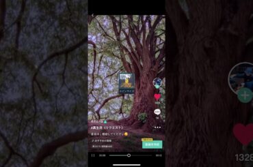 阿部大輔の本気