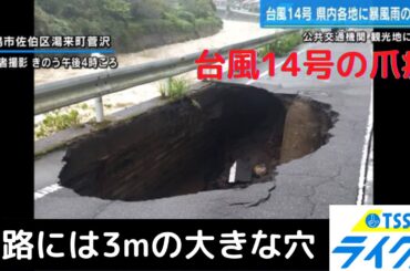 JR在来線は夕方4時から一部運転再開・動物園は臨時休業。台風14号の爪痕は様々な場所に影響が…