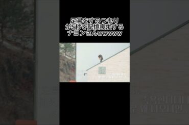 ナヨンさんマジで大丈夫？wwww【TWICE】