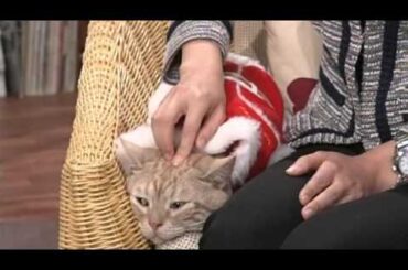 週刊ニュース新書　「大江アナのホッと一息」