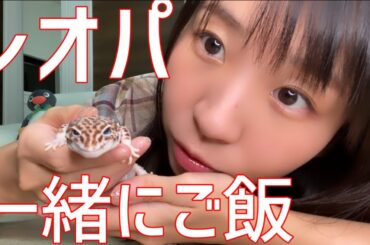 ヤモリが好きなコオロギのお菓子を食べてみました