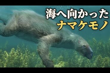 昔々、ナマケモノが海にも生息していたらしいです！ ^.^