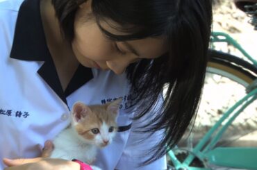 松本穂香、制服姿で猫たわむれる…　映画「あの頃、君を追いかけた」メーキング映像公開