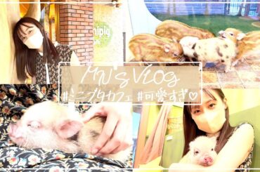 【vlog】大学生の癒し休日♪｜ミニブタカフェ｜可愛すぎ♡｜姉妹で満喫📷