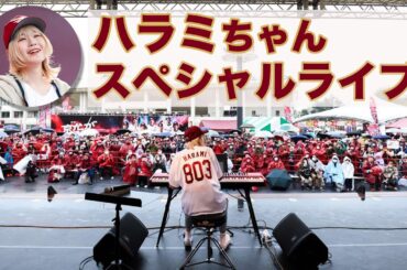 【スタジアムでも家でも聴きたい！】ハラミちゃんセレクト🎹楽天イーグルスセットリスト